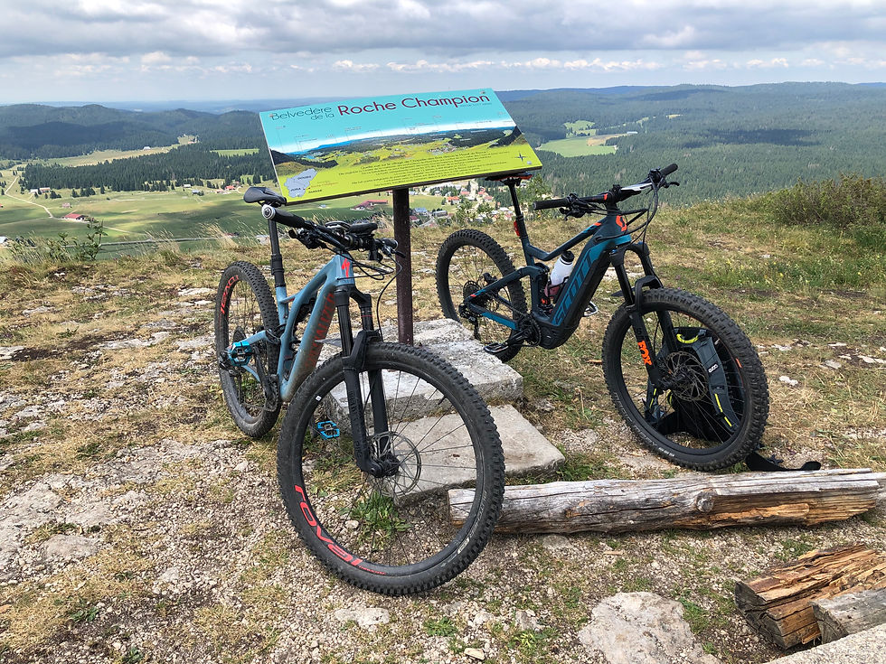 Roche Champion