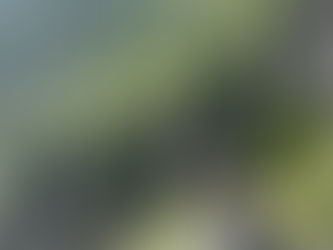 VTT - août bien rempli