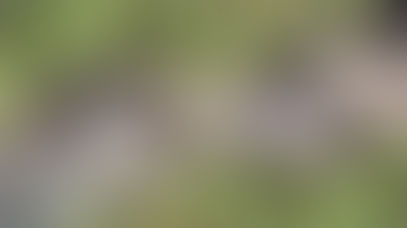 Celebridades en el negocio de la Marihuana