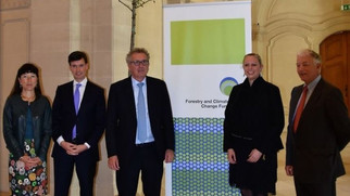 Luxembourg launches forestry and climate change fund