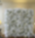 white.png