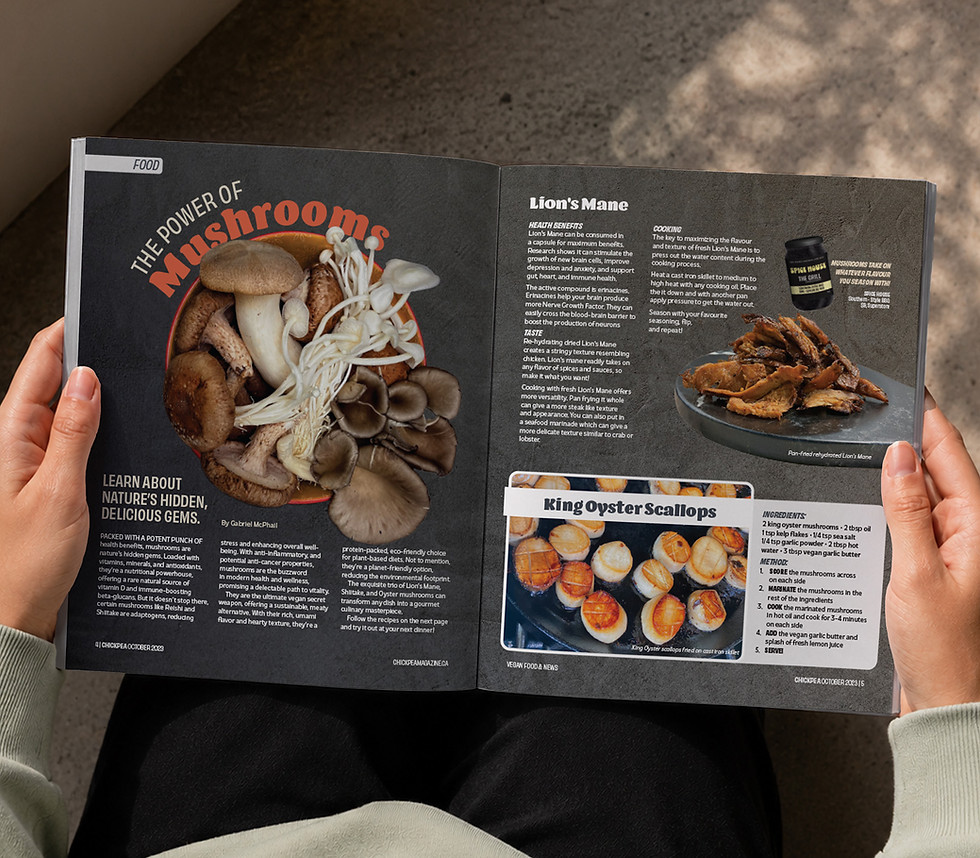 chickpea mockup 4.jpg