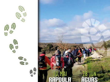 CAMINHAR COM VIDA’ 2020