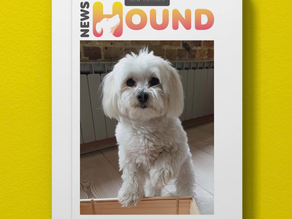 NewsHound  |  Issue 03