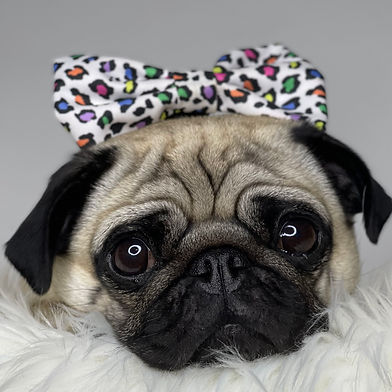 LILLY