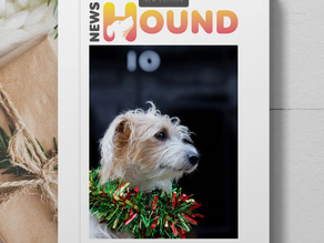 NewsHound | Issue 08