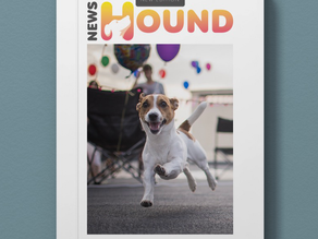 NewsHound | Issue 11
