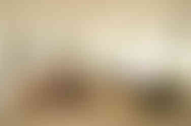 490349053_1233833678248803_378614430242732992_n