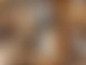 Las Mascotas en la Vida Diaria: Compañeros Inseparables en el Hogar Moderno