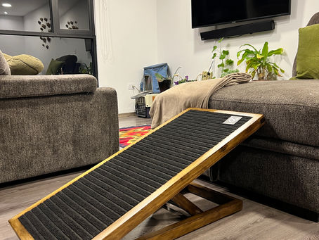 Una Solución Práctica y Elegante - Rampa de Madera para Mascotas de Edad Avanzada