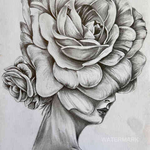 <img src="woman-pencil-drawing.jpg" alt="pencil artistic drawing portrait of woman face with roses profile">