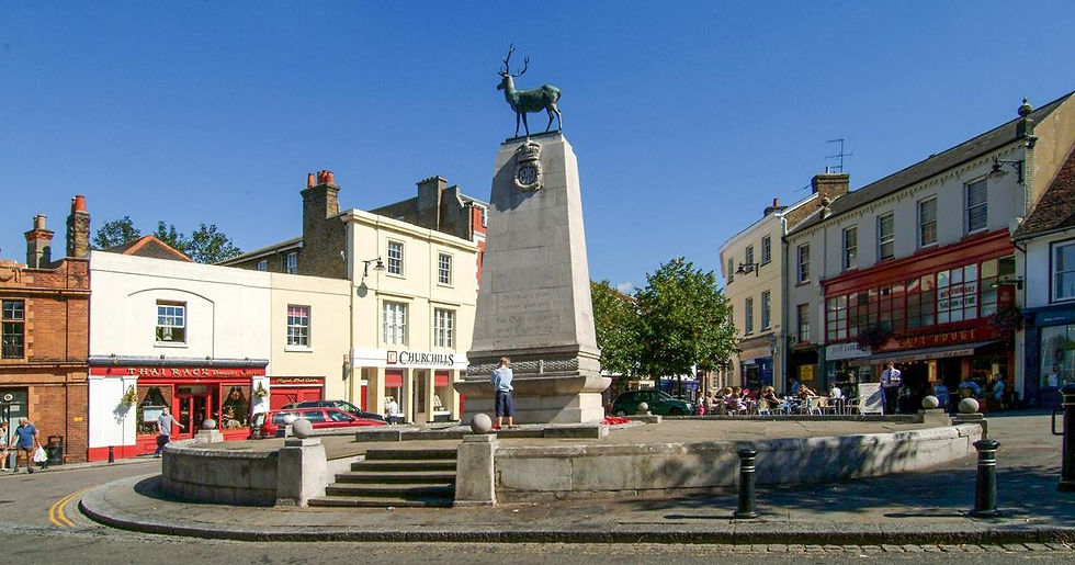 Hertford şehir merkezi tarihi dokusu, Hertfordshire