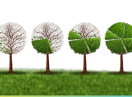Going Green Pays Off - CEDEC.png