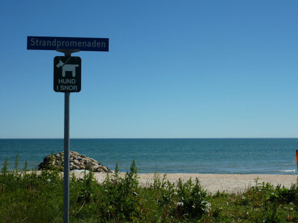 FreidrikshavenDK