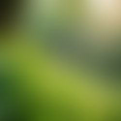 The Importance of Sustainable Living in Today's World