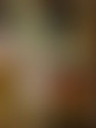 Whisky: The Spirit of Scotland