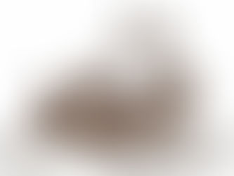 How Artificial intelligence (AI) and analytics is transforming the seafood harvesting industry