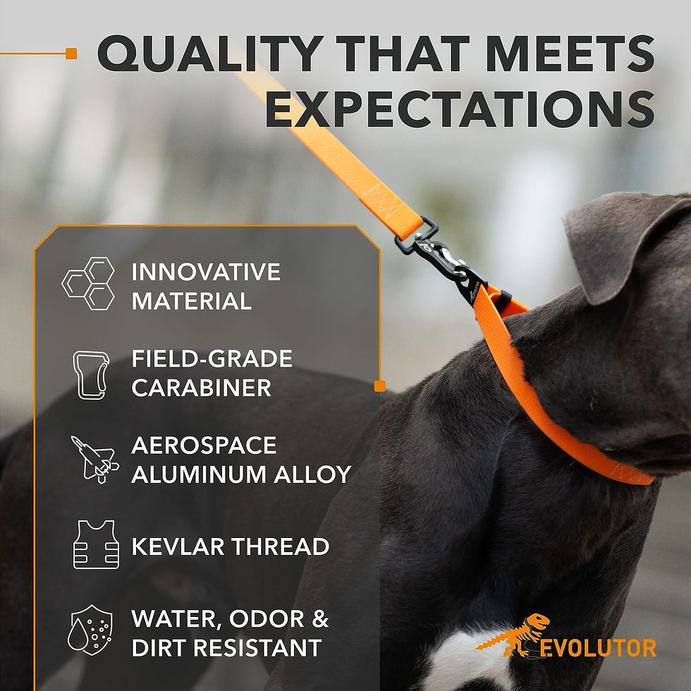 Miniatura: Orange Extra Heavy Duty Dog Leash 4 Ft x 1 in for Large Medium and Small Dogs