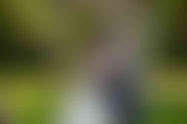 Wedding kiss at Holland Marsh Winery by Little Blue Lemon