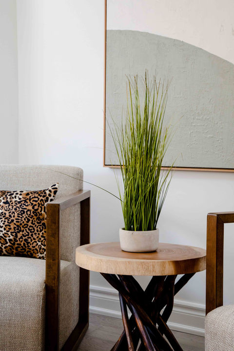 Beautiful Interior of a plant on a circular wooden side table with black metal legs on the TV show Styled on HTGV by LBLstudio