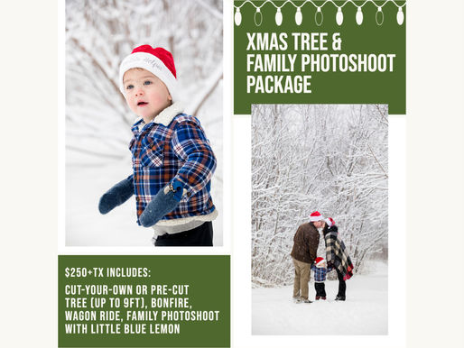 It's NEVER too early to start thinking about XMAS!