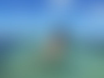 Férias: Porto de Galinhas