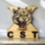 cstcatplaque45