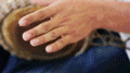 14.gif