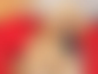 Christmas pet photography