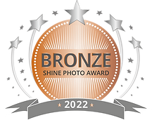 2022_SHINE-Award-BRONZE.png