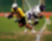 Lacrosse Players