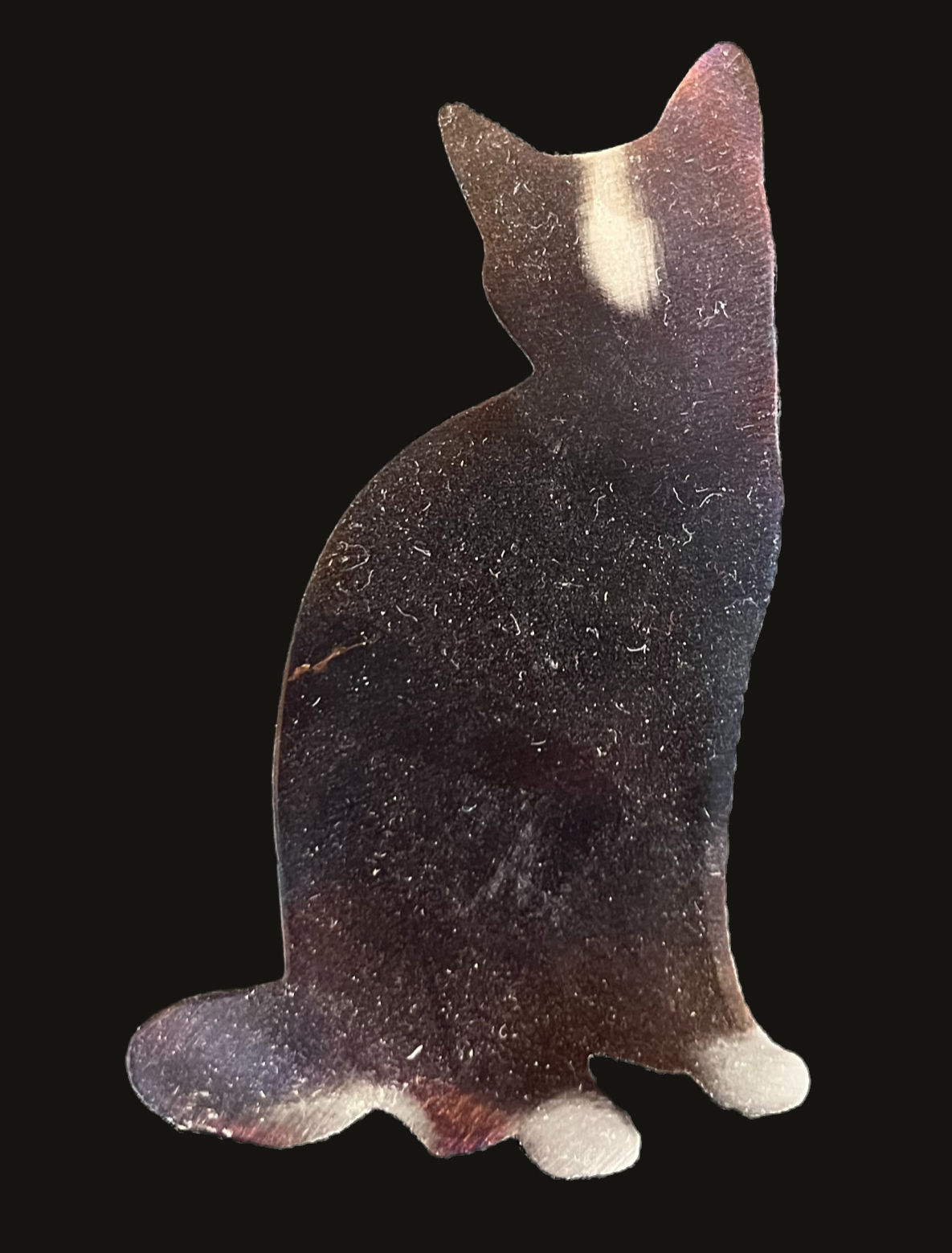 Sitting Kitty Magnet