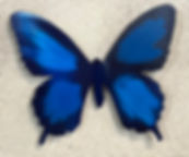 Butterfly Magnet