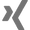 xing-logo616161