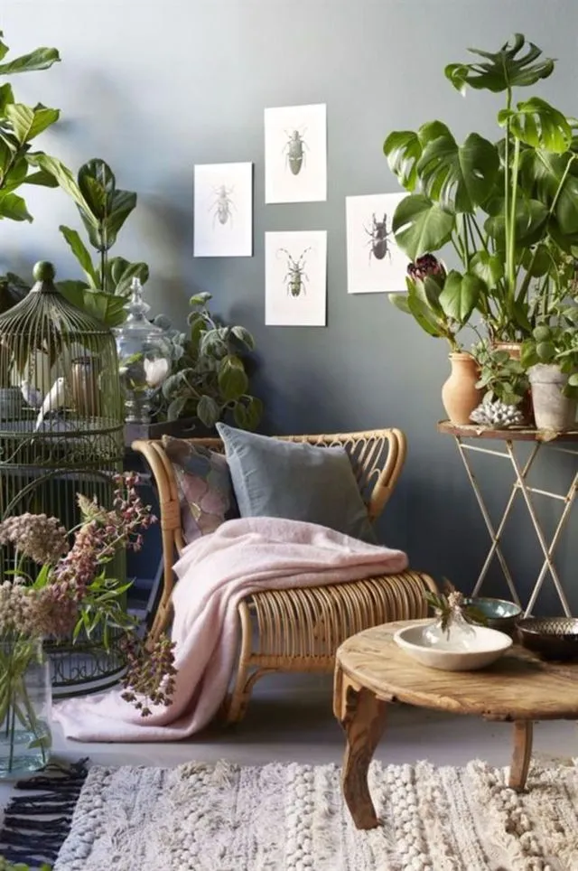 fauteuil-rotin-et-plantes-vertes-esprit-romantique-1_5919040.webp