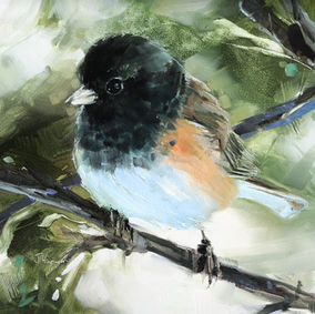 Junco, 6x6, oil on board