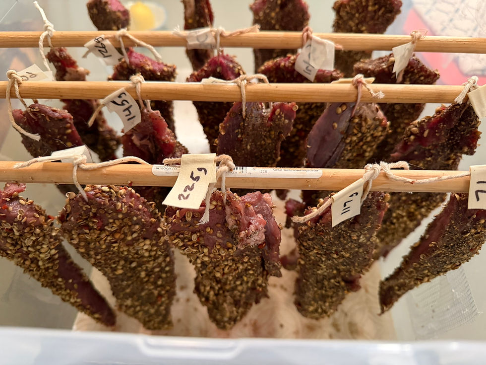 Build Your Own Biltong Cure Chamber + Make Real Biltong