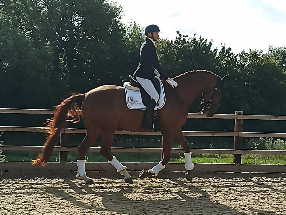 Stef Eardley Clinic