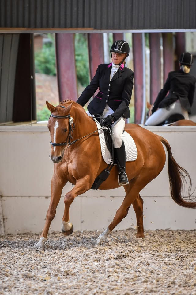Unaffiliated Dressage "Championship Show" 