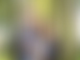 Gezinsfotoshoot in de zomermaanden