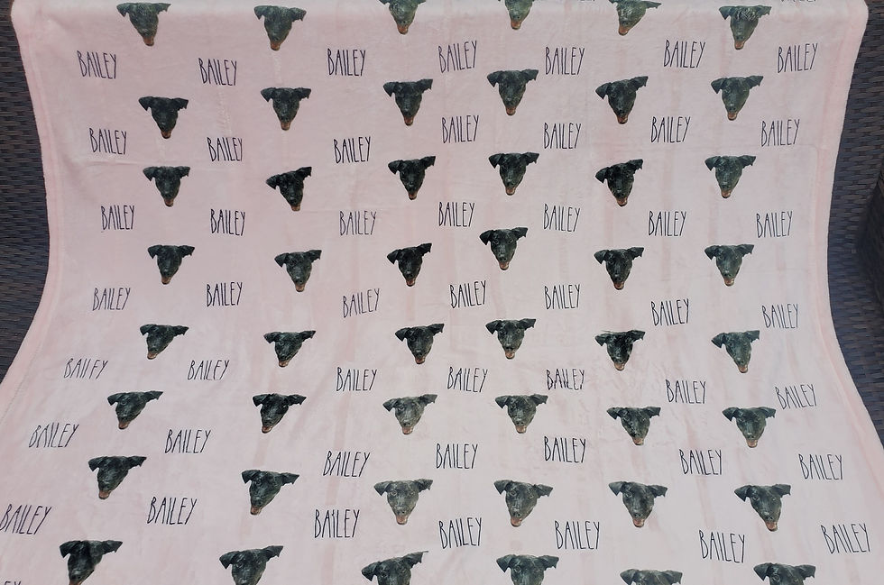 Thumbnail: Sublimated Pet Blanket