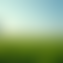 Sustainable Strategic Plans for Business Growth