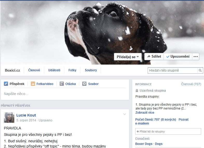 FB Boxici.cz
