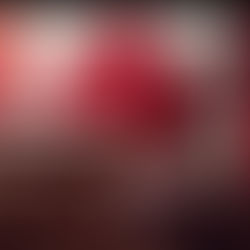 《C-12 法案:加拿大移民制度迈向“风险管理型治理”的关键转折》