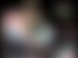 加拿大联邦大选：保守党与自由党角力，美国关税壁垒下的未来走向