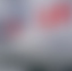 美企加速北移!加拿大在贸易紧张中意外受益