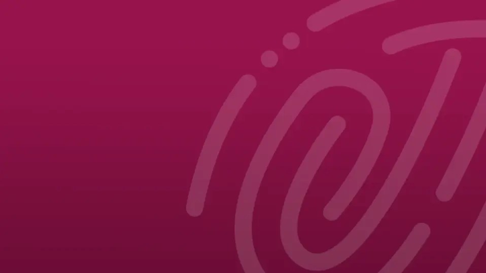 Proyecto nuevo.webp