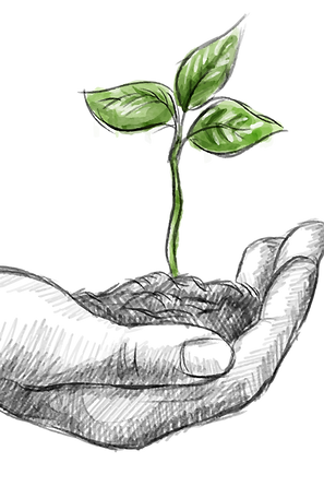 pngegg(1).png