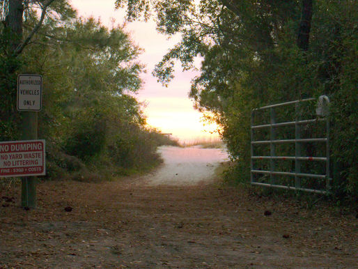 Senior Project: Week 4