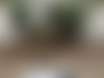 Two Arrested After Animal Welfare Check- Marijuana Plants Found